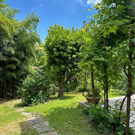 ロヴランSecret Garden Houseアパートメント エクステリア 写真