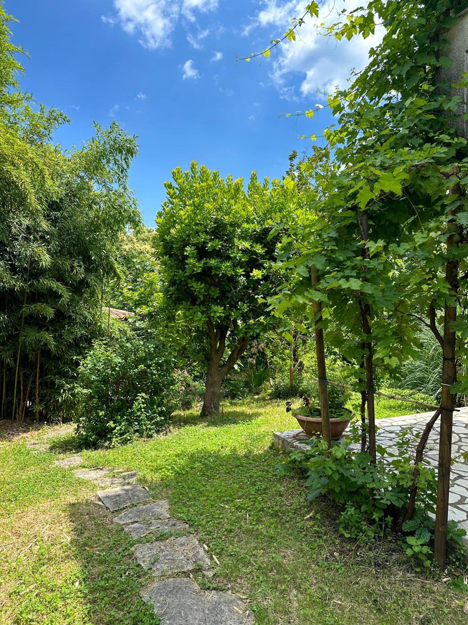 ロヴランSecret Garden Houseアパートメント エクステリア 写真
